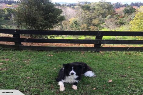 Photo of property in 1 Furniss Lane, Tauriko, Tauranga, 3110