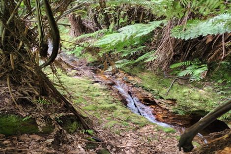 Photo of property in 314 Busby Road, Tahawai, Katikati, 3170