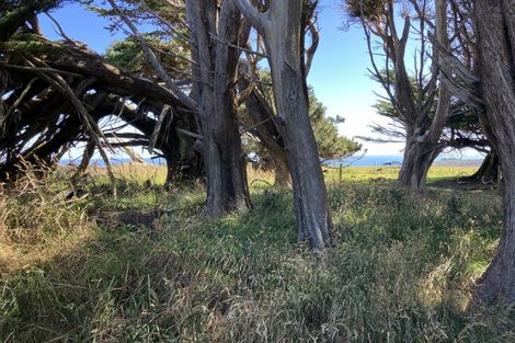 Photo of property in 388 Slope Point Road, Slope Point, Tokanui, 9884