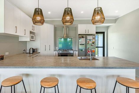 Photo of property in 21 Meavy Lane, Ashhurst, Palmerston North, 4470