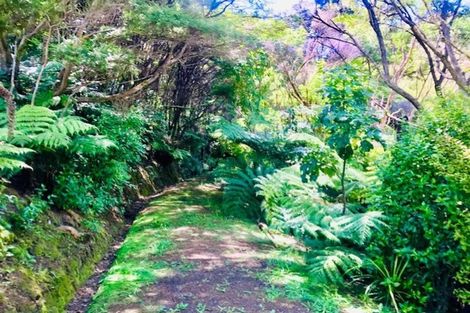 Photo of property in 288 Bellville Drive, Coromandel, 3506