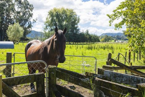 Photo of property in 140 Hansen Road, Makauri, Gisborne, 4071