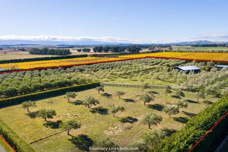 Photo of property in 399a Lake Ferry Road, Dyerville, Martinborough, 5781