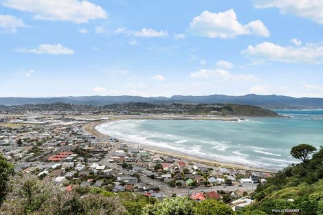 Photo of property in 105 Hornsey Road, Melrose, Wellington, 6023