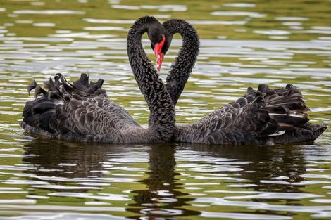 Photo of property in 1500 Mangawhai Road, Mangawhai, Wellsford, 0975