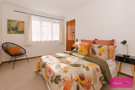 Photo of property in 30 Leicester Street, Terrace End, Palmerston North, 4410
