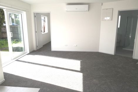 Photo of property in 201c Mount Albert Road, Wesley, Auckland, 1025
