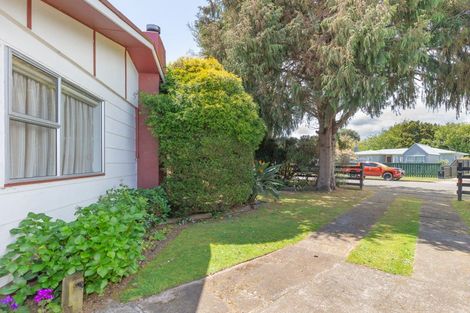 Photo of property in 14 Strathmore Avenue, Levin, 5510