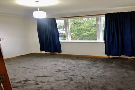 Photo of property in 101 Flanshaw Road, Te Atatu South, Auckland, 0610