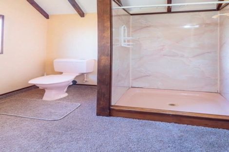 Photo of property in 45 Snowdon Street, Allanton, Mosgiel, 9092