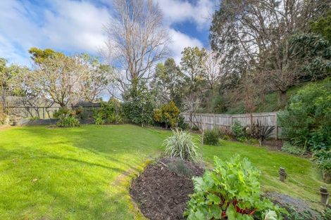 Photo of property in 16 Kennedy Street, Paeroa, 3600