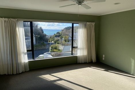 Photo of property in 133 Milton Road, Bluff Hill, Napier, 4110