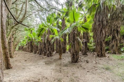 Photo of property in 448 Airfield Road, Ardmore, Papakura, 2582