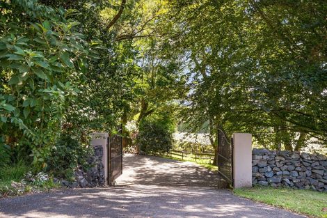 Photo of property in 195 Snodgrass Road, Te Puna, Tauranga, 3174