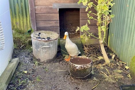 Photo of property in 36 Highfield Terrace, Newfield, Invercargill, 9812