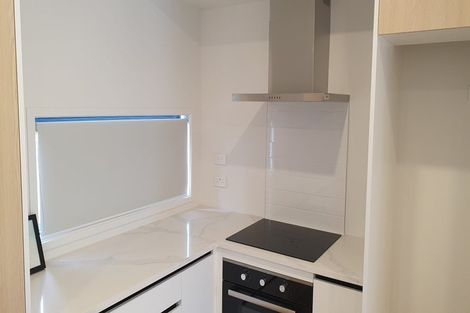 Photo of property in 38 Clay Works Lane, New Lynn, 0600