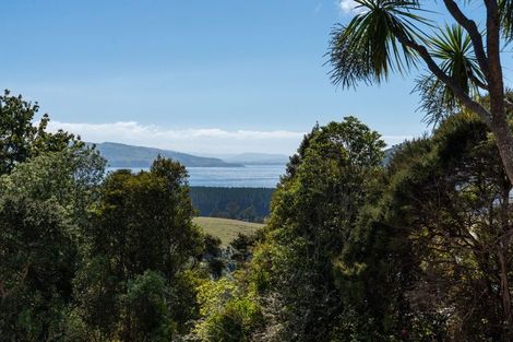 Photo of property in 16 Rowland Street, Osborne, Port Chalmers, 9081