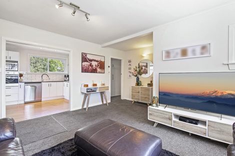 Photo of property in 117 Joy Street, Shirley, Christchurch, 8061