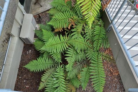 Photo of property in 2/72 Fairfield Avenue, Addington, Christchurch, 8024