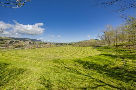 Photo of property in 155 Matangi Road, Tuki Tuki, Havelock North, 4294