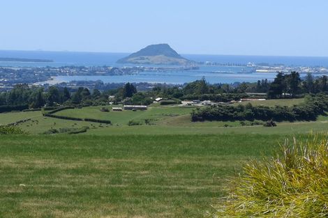 Photo of property in 905 Upper Ohauiti Road, Ohauiti, Tauranga, 3173