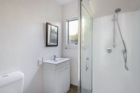 Photo of property in 145 Aro Street, Aro Valley, Wellington, 6021