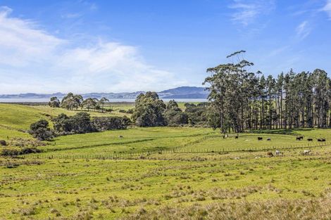 Photo of property in 105 Mairetahi Road, South Head, Helensville, 0874