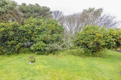 Photo of property in 9 Norfolk Street, Levin, 5510