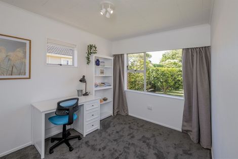 Photo of property in 19 Saint Annes Street, Levin, 5510