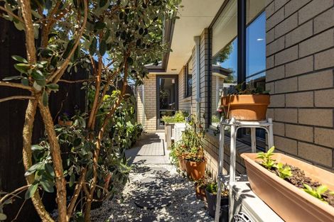 Photo of property in 19c Walpole Street, Waltham, Christchurch, 8023