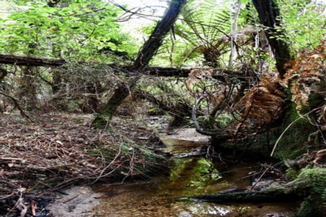 Photo of property in 70 Sunset Heights Road, Karamea, 7893