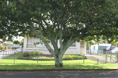 Photo of property in 20 Station Street, Tirau, 3410