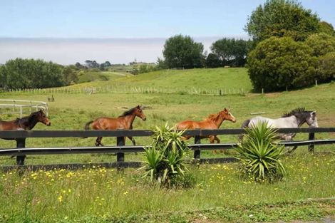 Photo of property in 87a Parakau Road, Pollok, Waiuku, 2683