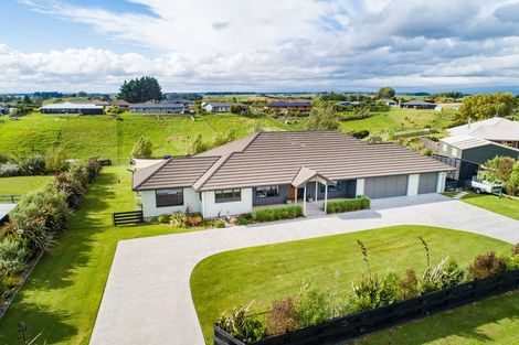 Photo of property in 10 Fallow Avenue, Feilding, 4775