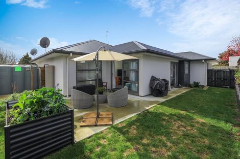 Photo of property in 2/4 Ross View Terrace, Dinsdale, Hamilton, 3204