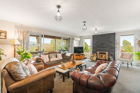 Photo of property in 22 Appleby Street, Hampden, 9410