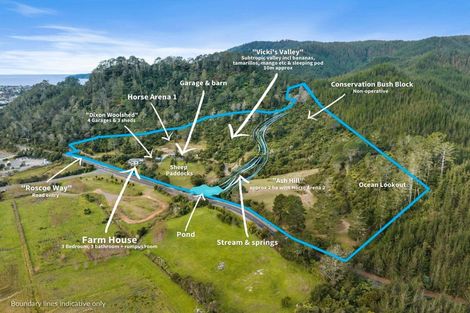 Photo of property in 896a Hikuai Settlement Road, Pauanui, Hikuai, 3579