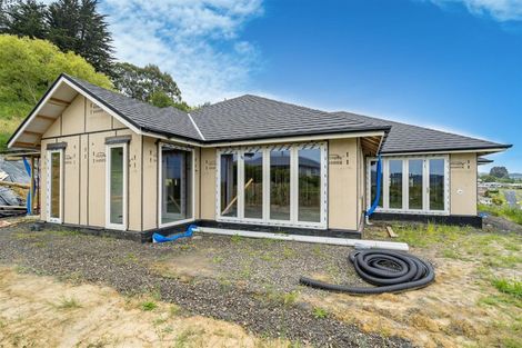 Photo of property in 38 Waldron Crescent, Green Island, Dunedin, 9018