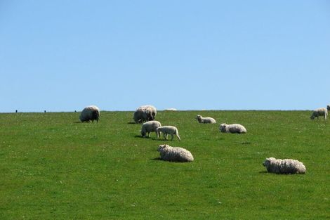 Photo of property in 653 Grove Bush Woodlands Road, Grove Bush, Invercargill, 9872