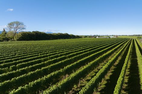 Photo of property in 5 Brook Street, Renwick, 7204