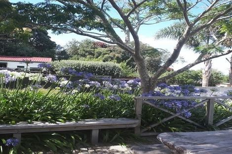 Photo of property in 603 Thames Coast Sh25 Road, Waiomu, Thames, 3575