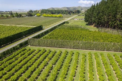 Photo of property in 98 Taurau Valley Road, Manutuke, 4072