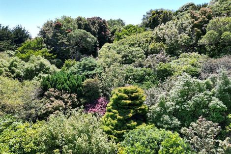 Photo of property in 63 Sandymount Road, Sandymount, Dunedin, 9077