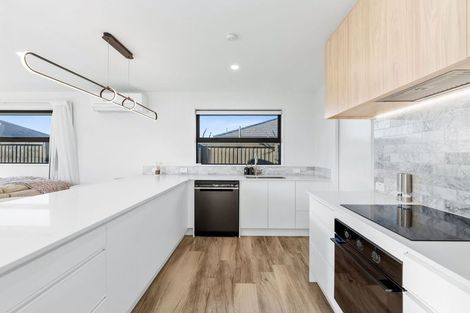Photo of property in 117 Ed Hillary Drive, Rolleston, 7615