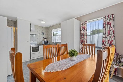 Photo of property in 113a Ryder Crescent, Levin, 5510