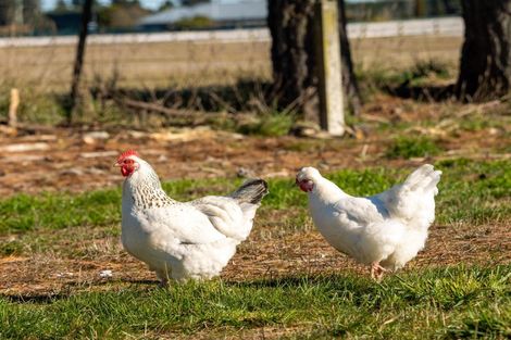 Photo of property in 260 West Melton Road, Rolleston, Christchurch, 7675