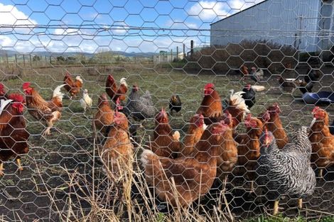 Photo of property in 22 Rountree Road, Mangatarata, Thames, 3576