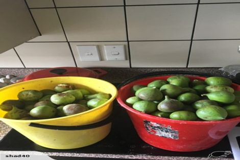 Photo of property in 70 Westhead Road, Pollok, Waiuku, 2683