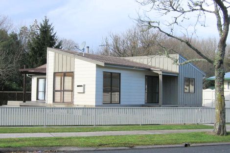 Photo of property in 41 Exeter Street, Glenview, Hamilton, 3206