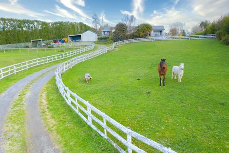 Photo of property in 21 Williams Road South, Pyes Pa, Tauranga, 3173